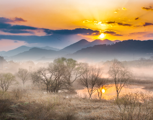 Hwapocheon Wetland Ecological Park